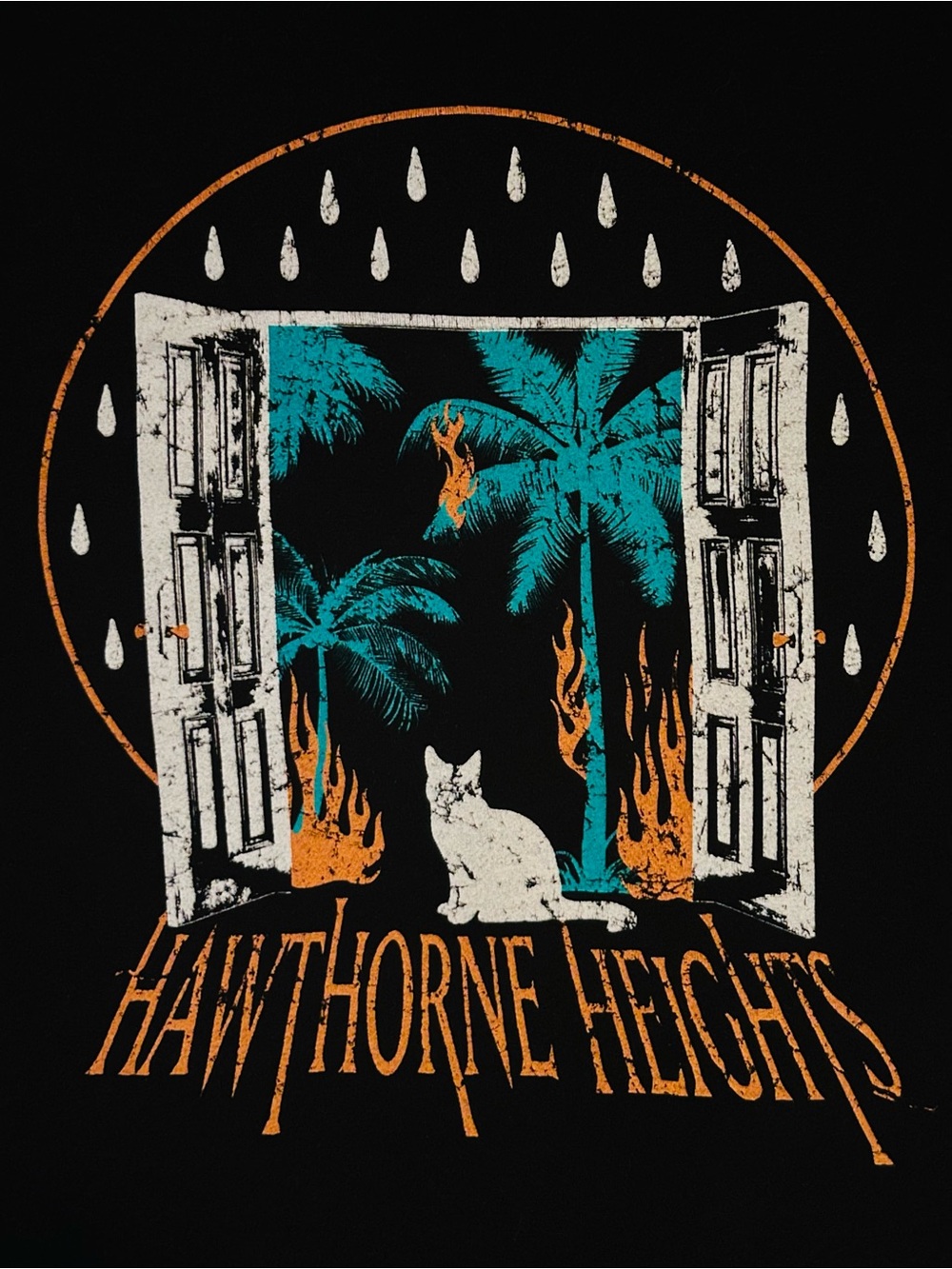 Hawthorne Heights Graphic Tee — Black with Teal & Orange Artwork
